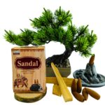 Darshan Sandal Geri Akış Tütsüsü